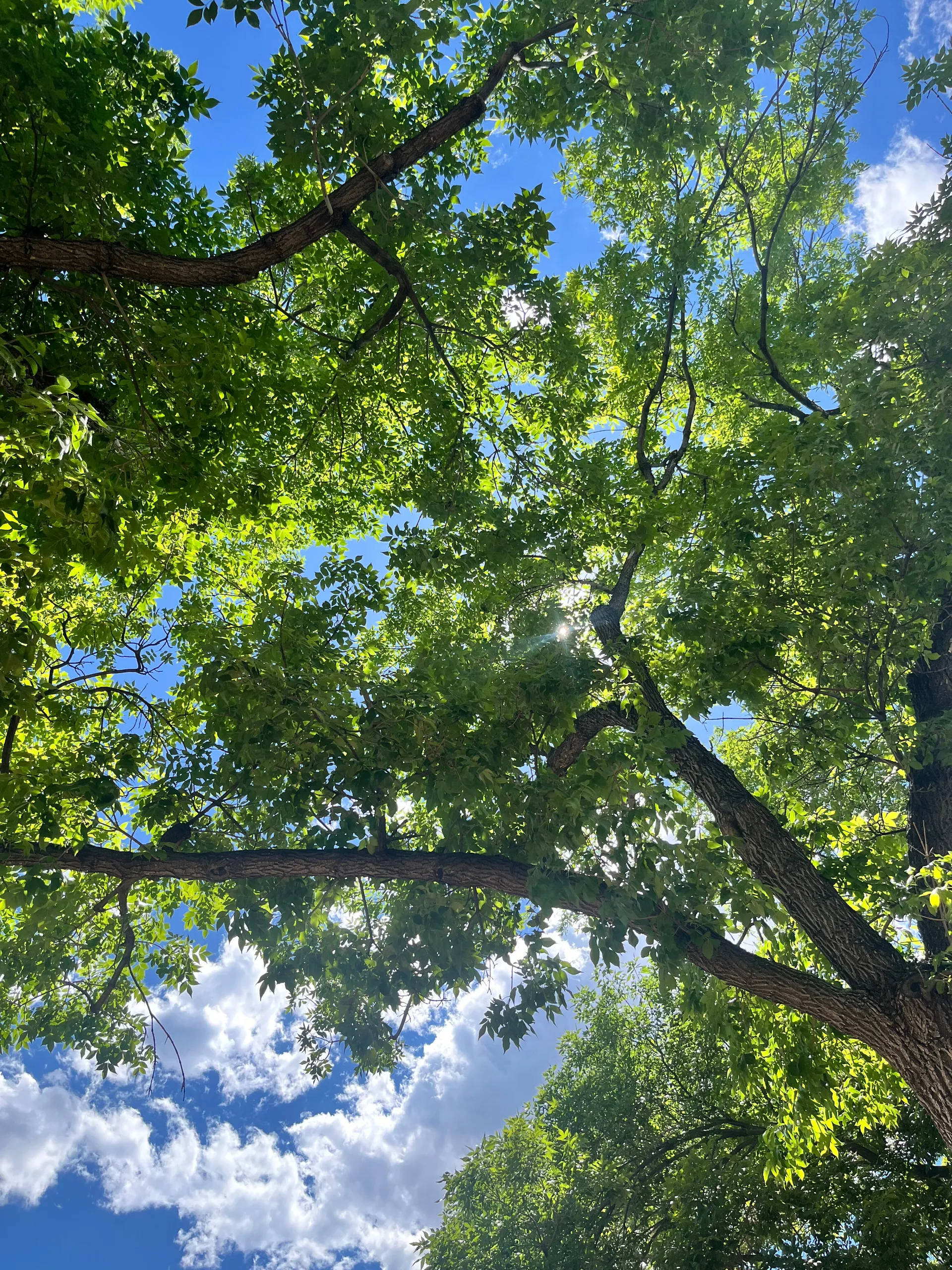 Felicity Taylor OnlyFans header