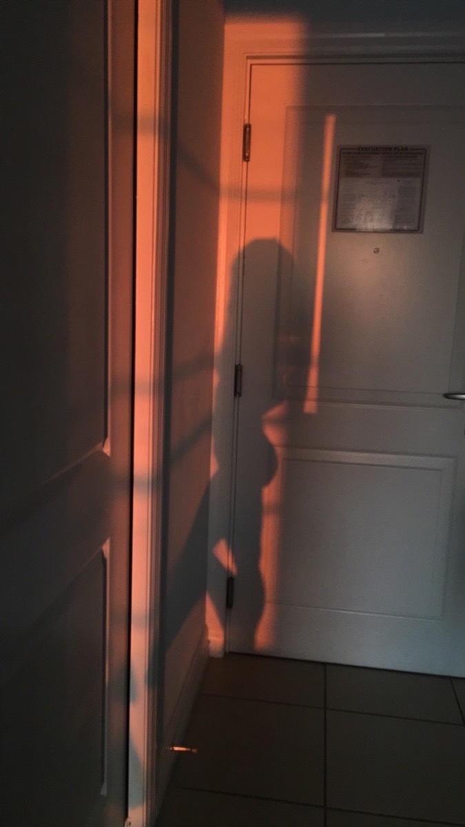 Felicity Shagwell OnlyFans header