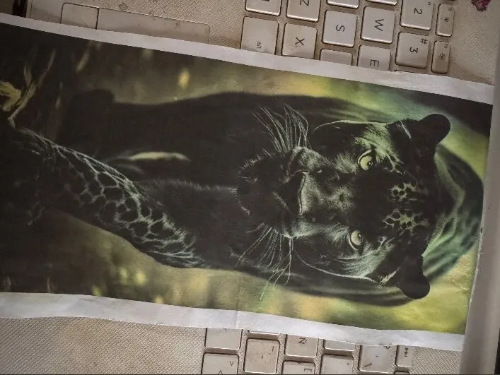 𝒩𝒶𝓉𝓊𝓇𝒶𝓁 ℬ𝒶𝒷𝓎 🌿 OnlyFans header