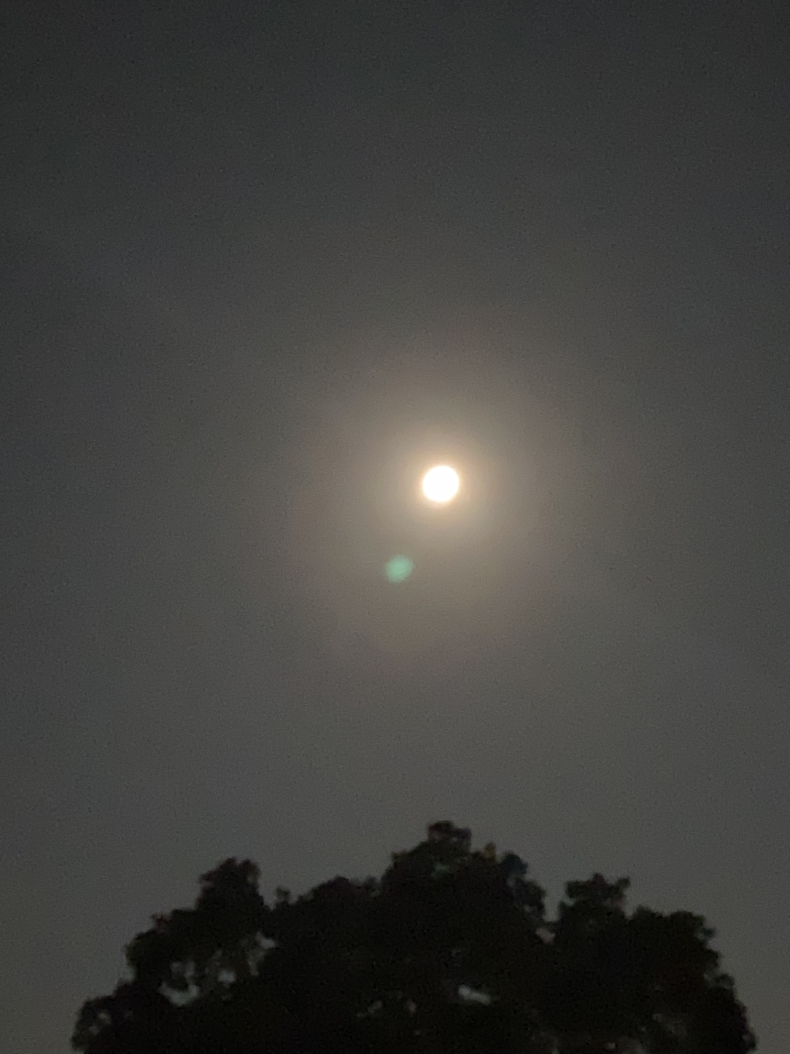 Felix OnlyFans header