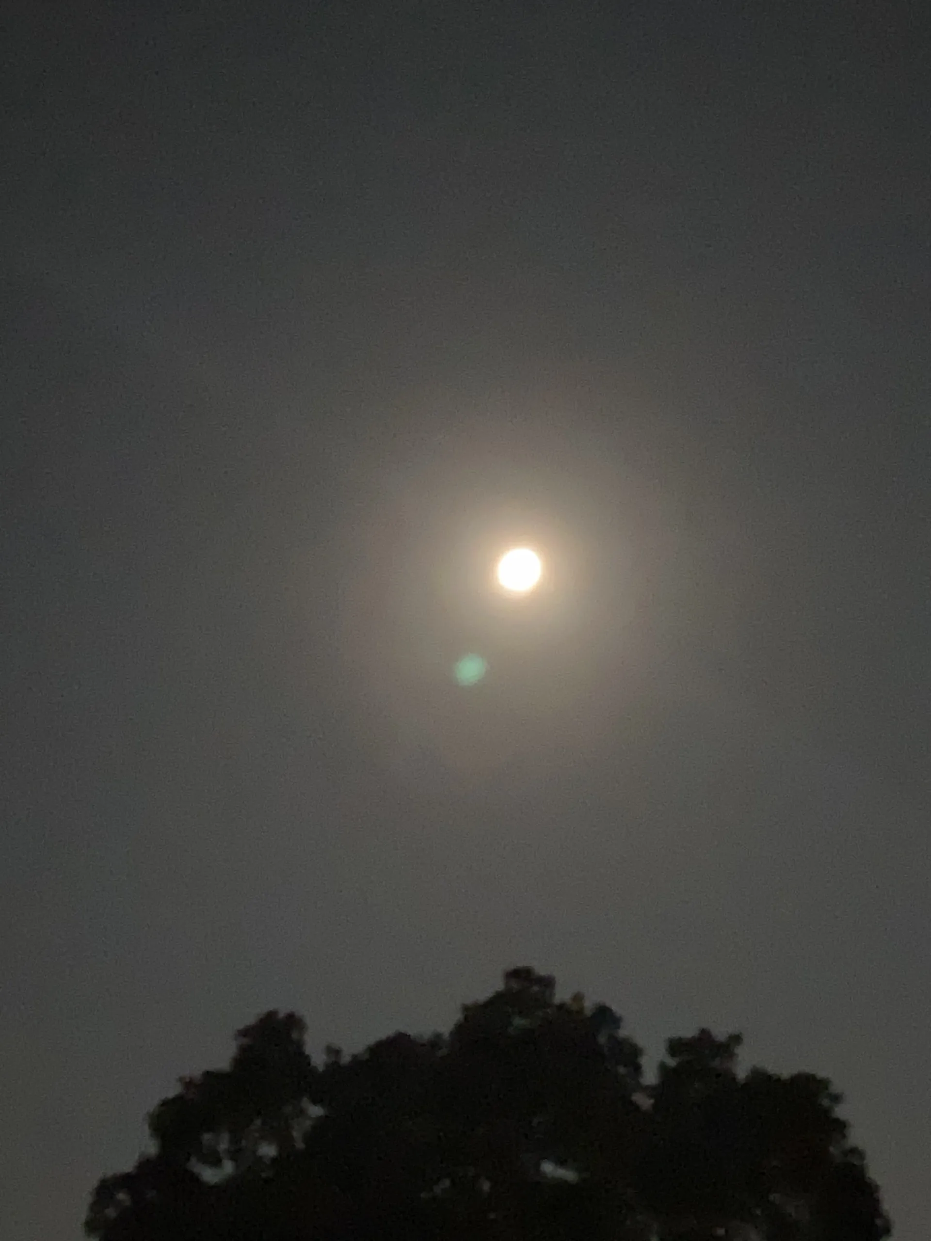 Felix OnlyFans header