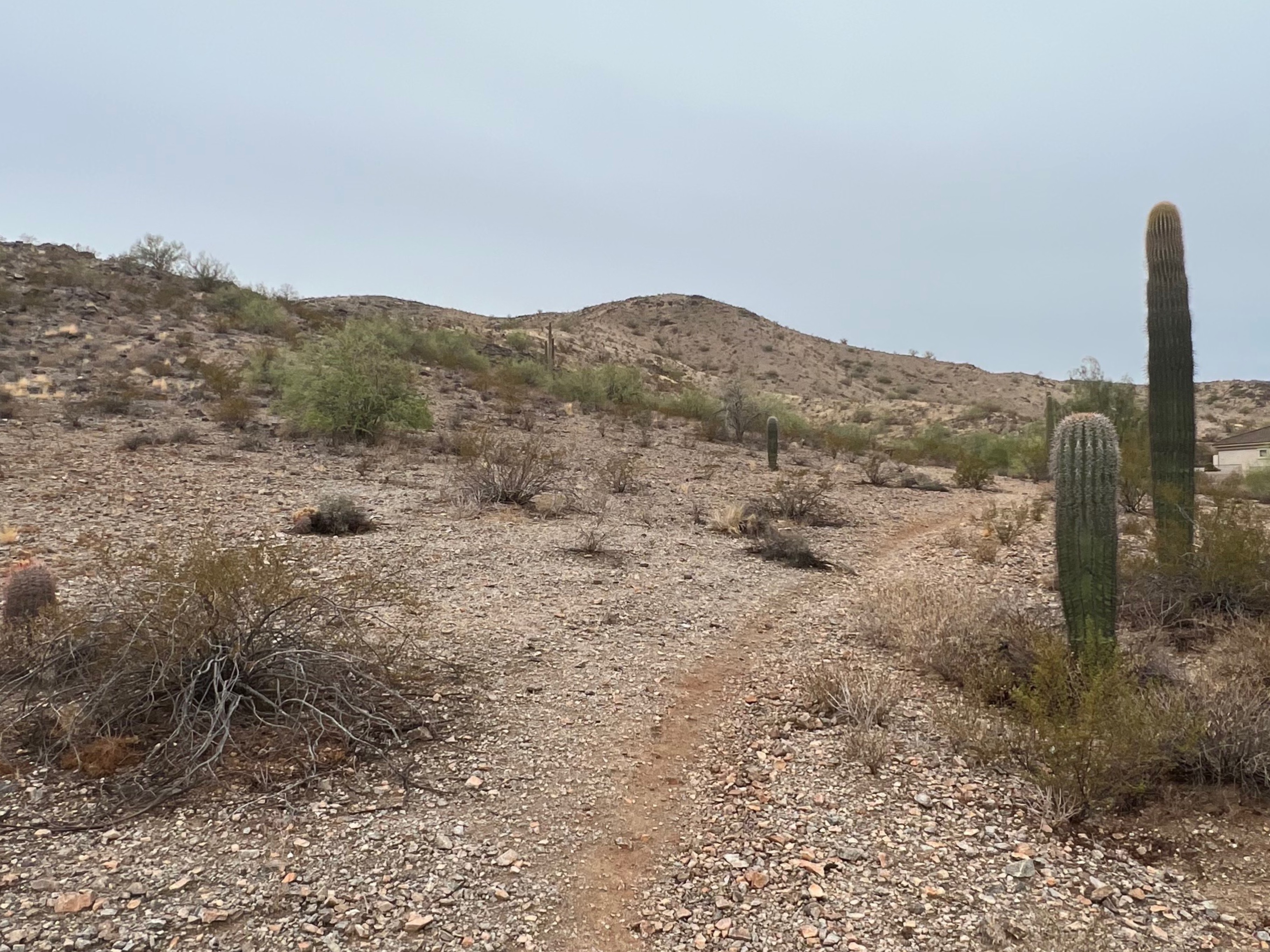 Felix Falkner OnlyFans header