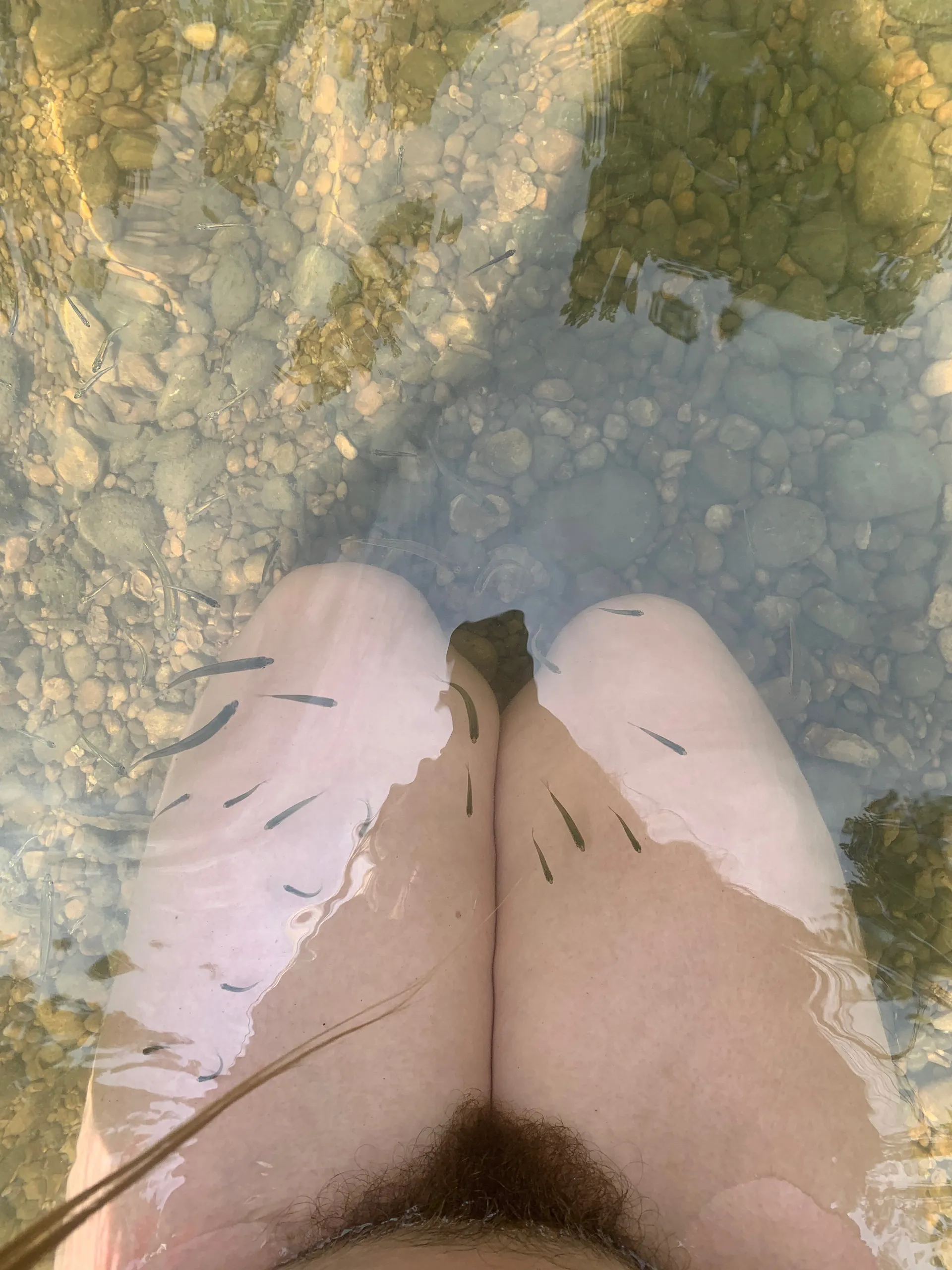 ✨🌸Felix Nymph🌸✨ OnlyFans header