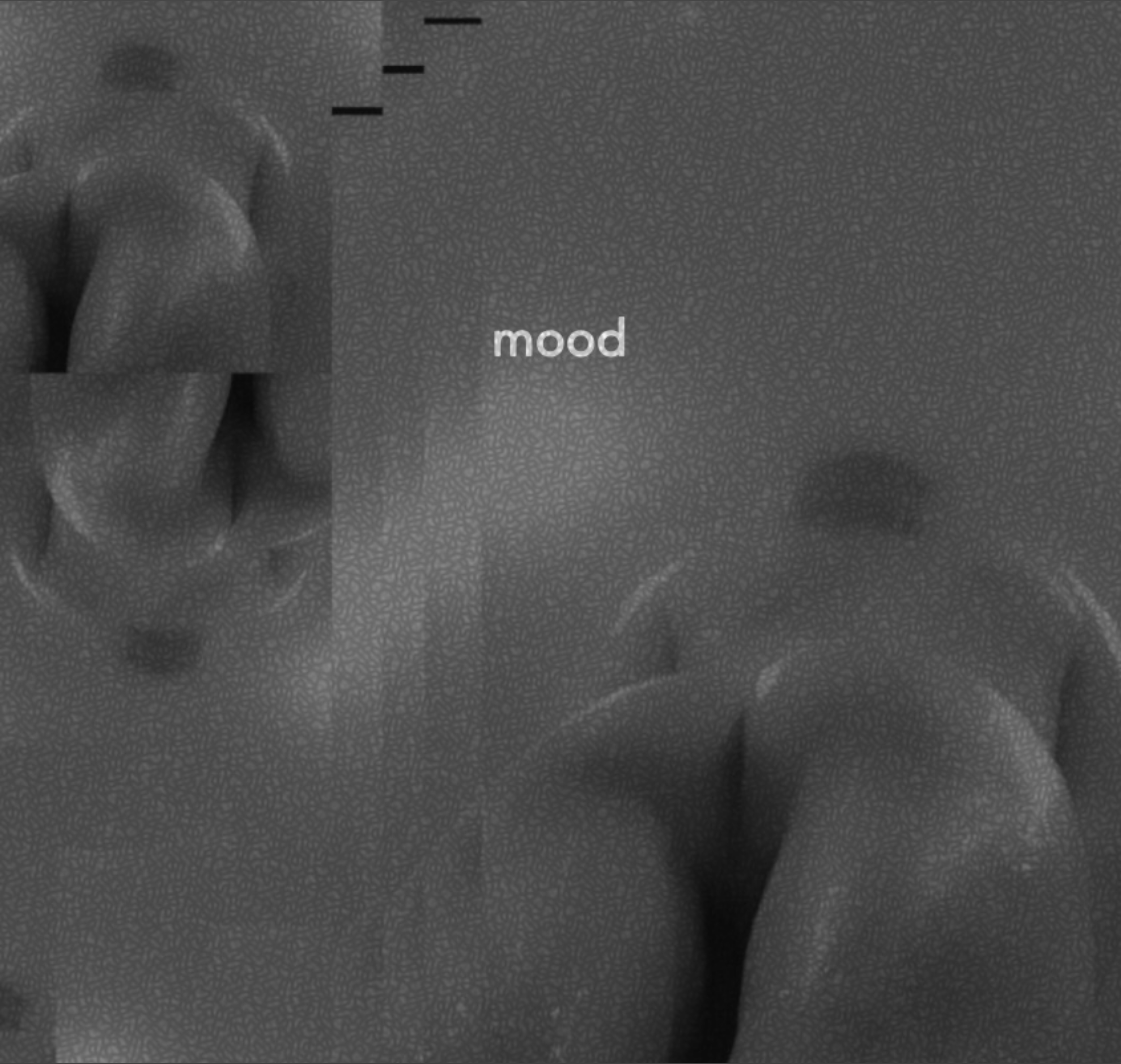 Fella OnlyFans header