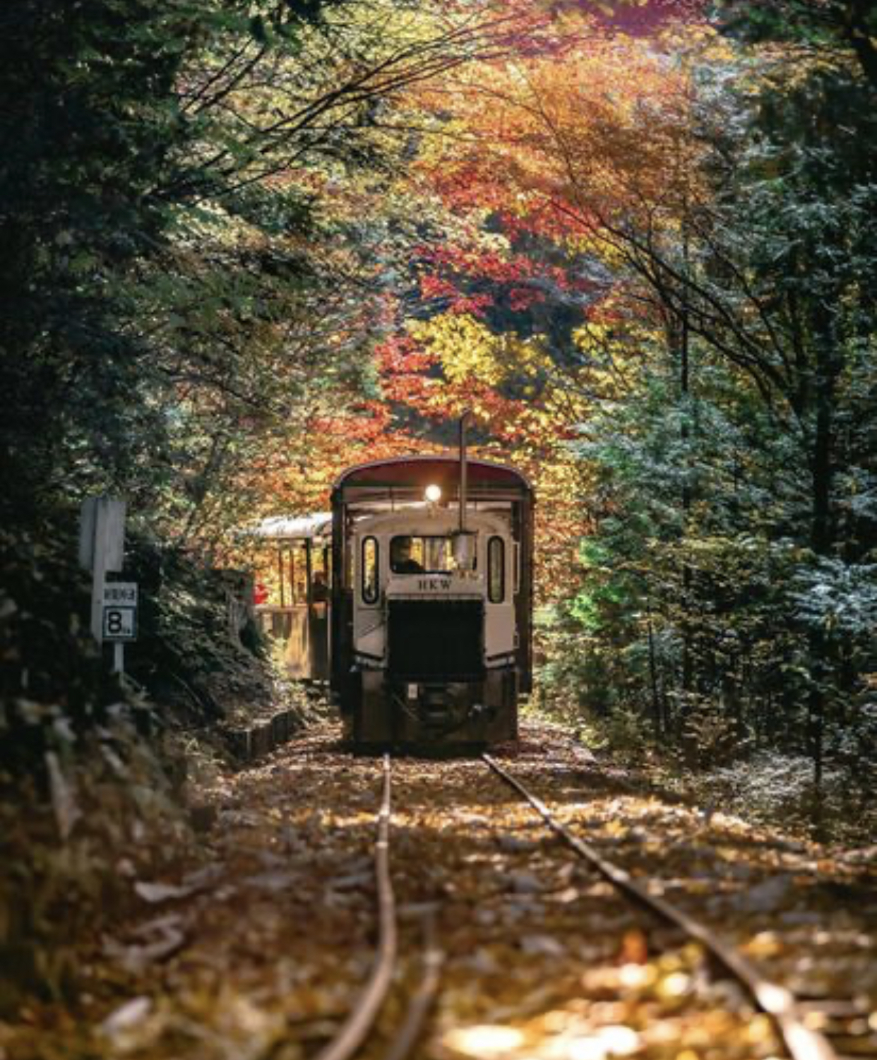 Felipe, J. OnlyFans header