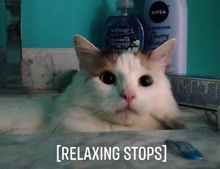 Felonade OnlyFans header