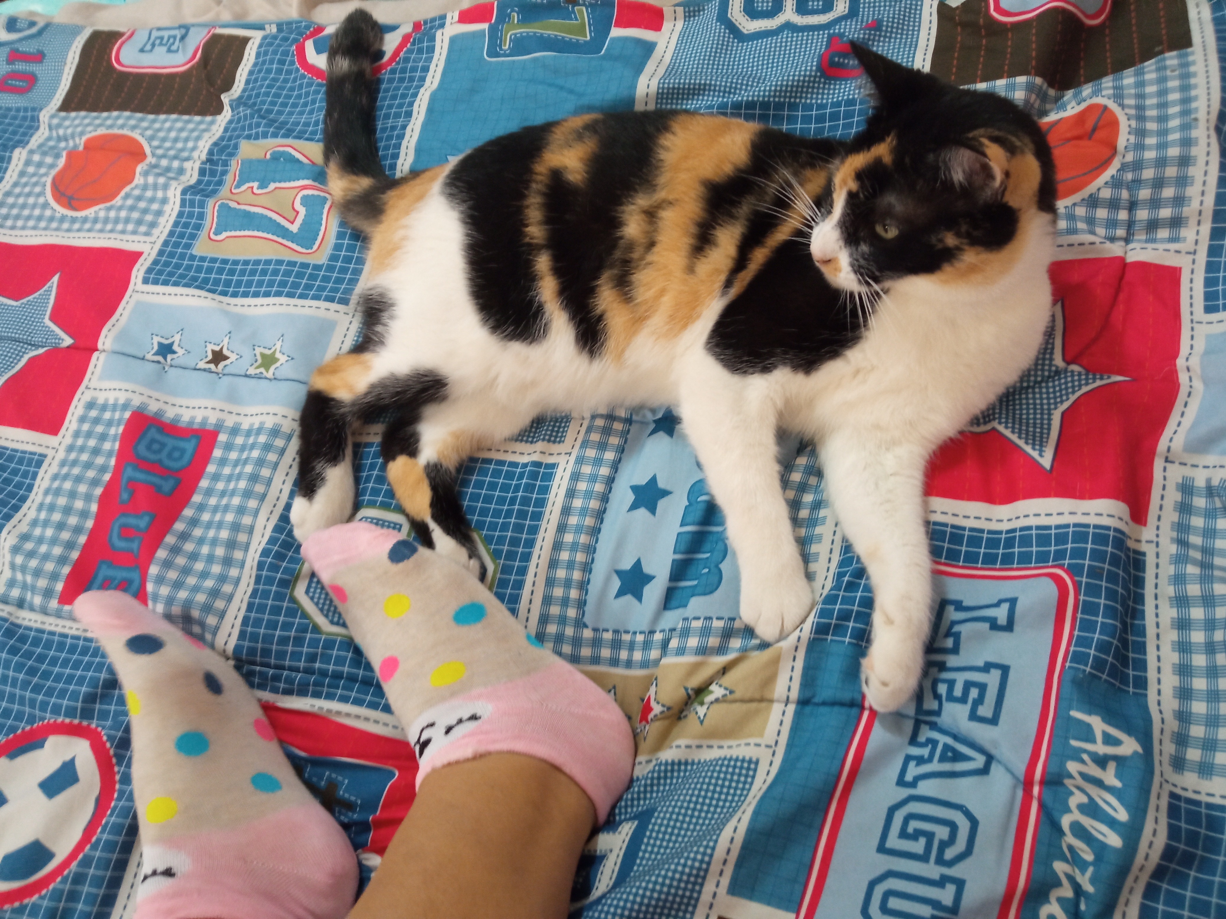 Beatiful female feet OnlyFans header