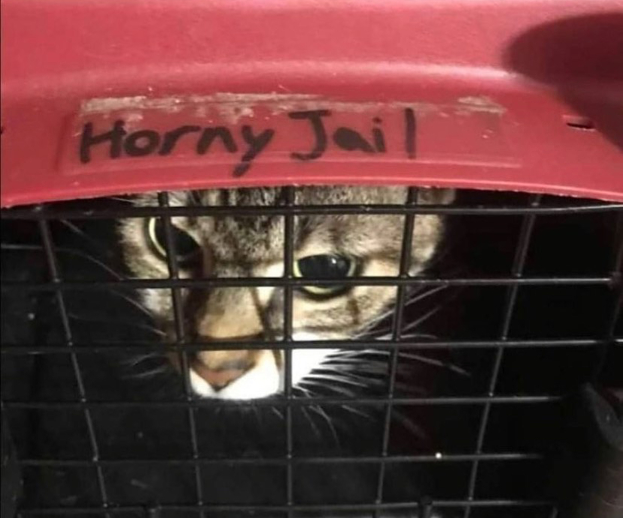 Femboy-35 OnlyFans header