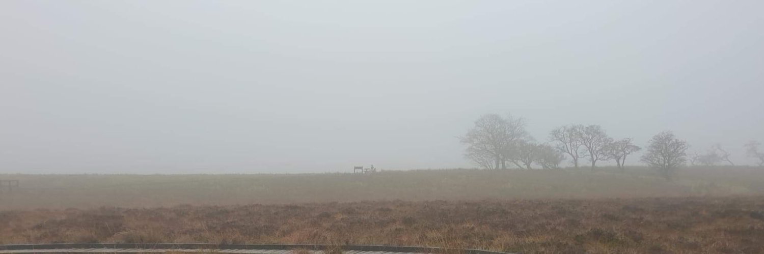 ellis OnlyFans header