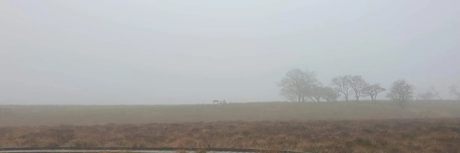 ellis OnlyFans header