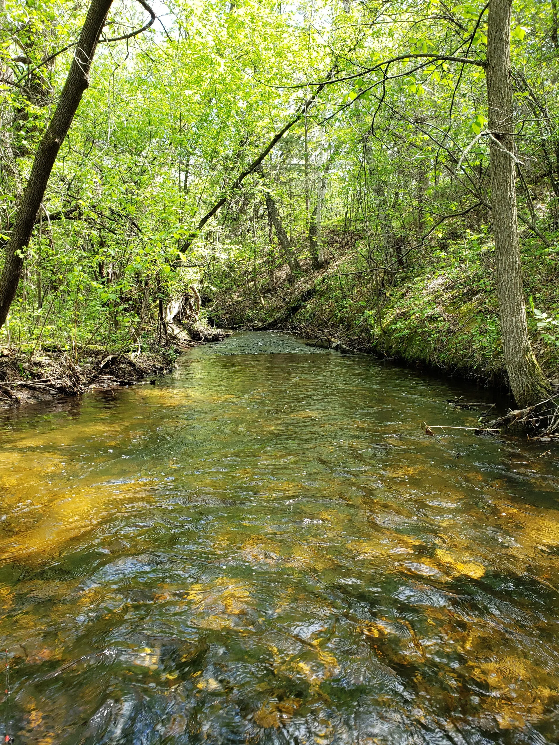 Femboy Fishing OnlyFans header