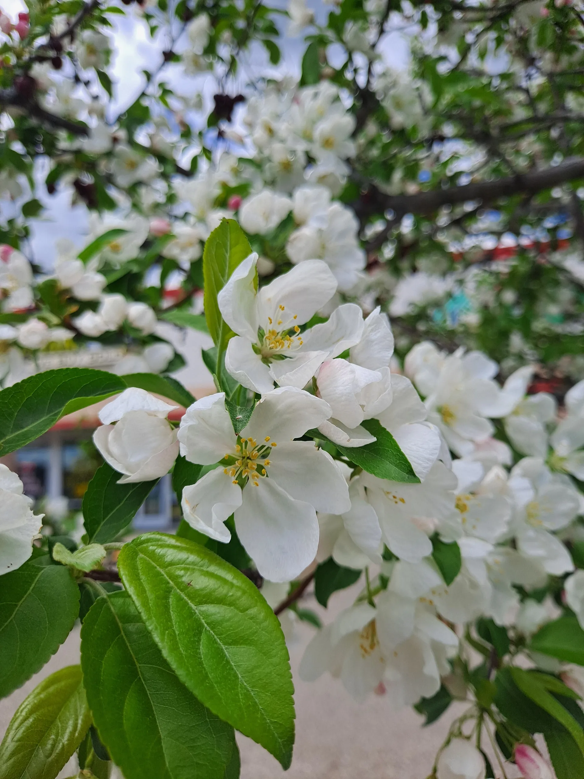 Just Another Femboy💙 OnlyFans header