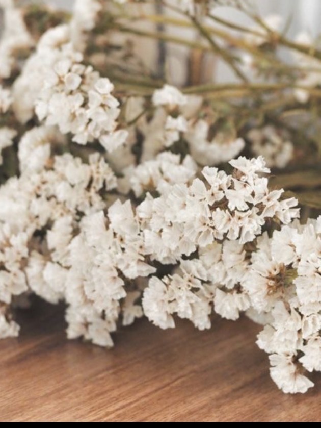 Toni OnlyFans header