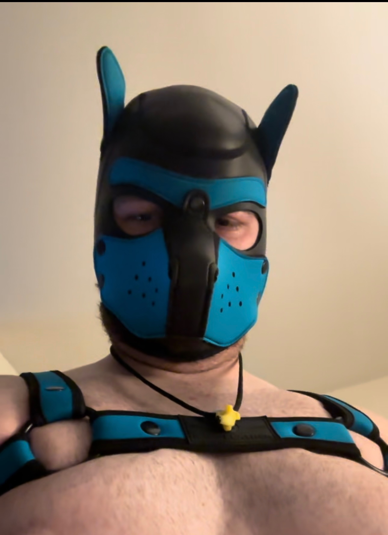 Rock the pup OnlyFans