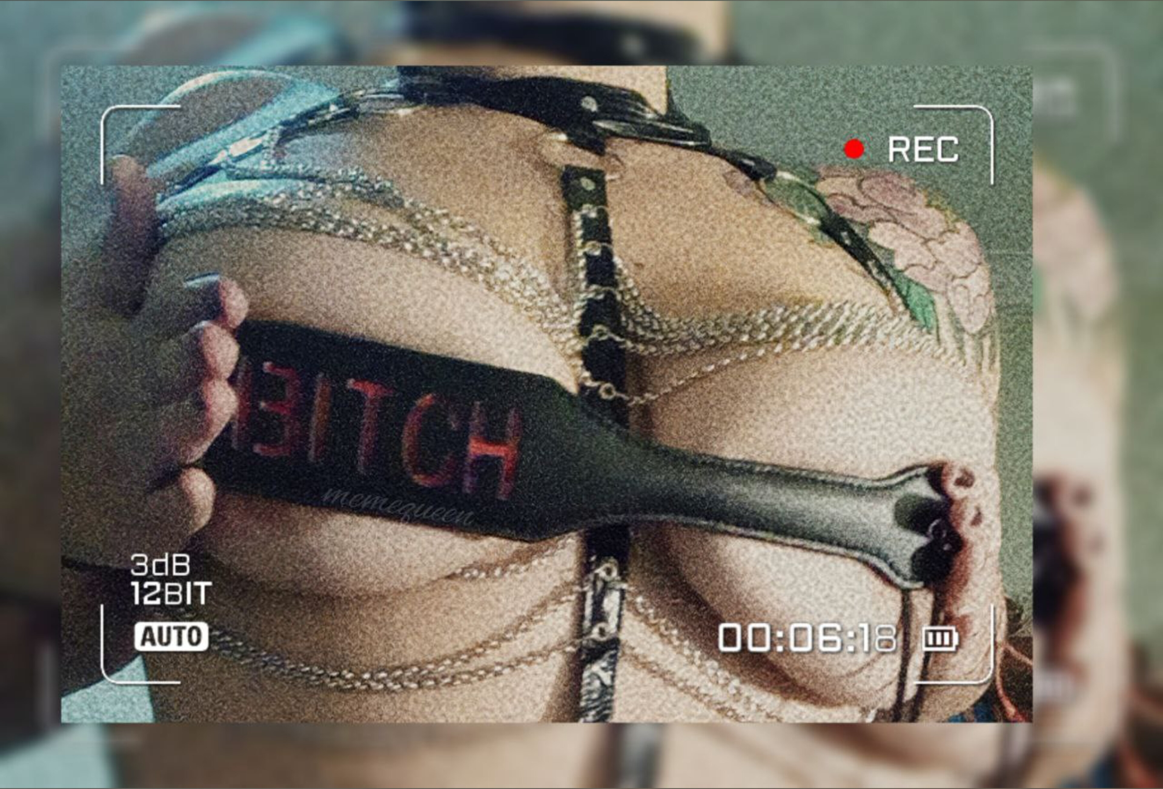 ⛓️ R E G I N A 🔗 OnlyFans header