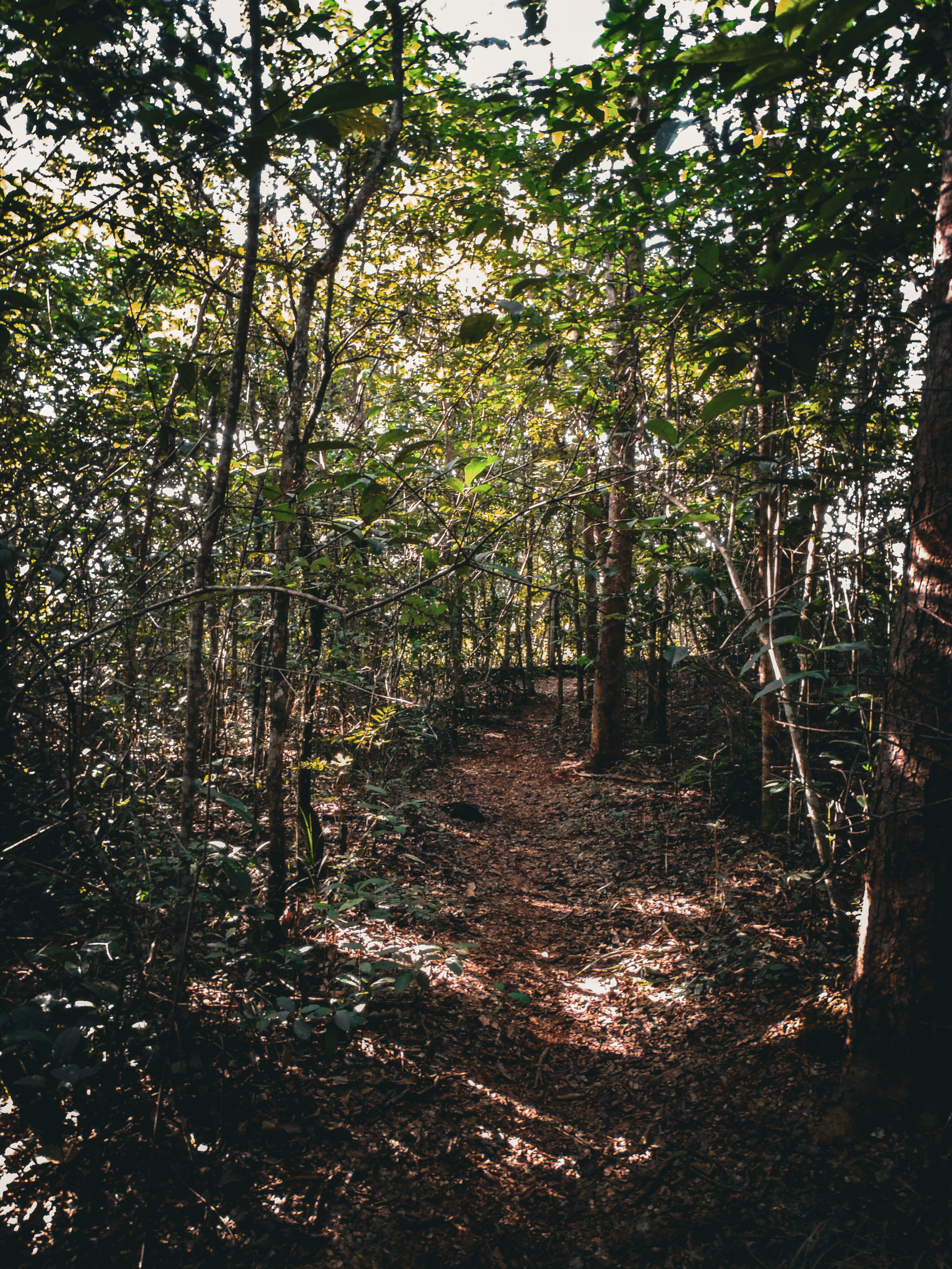 femgoth OnlyFans header