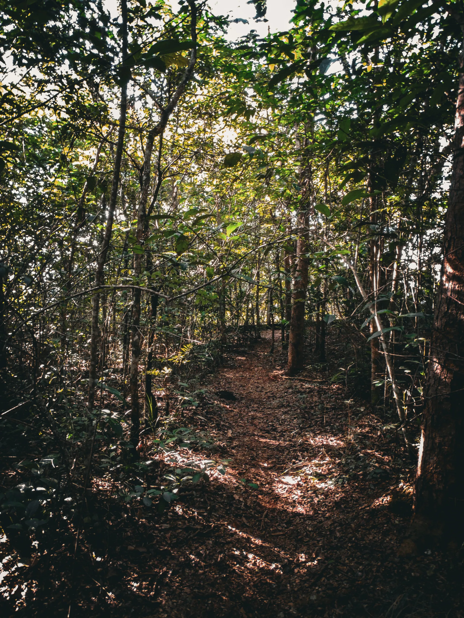 femgoth OnlyFans header