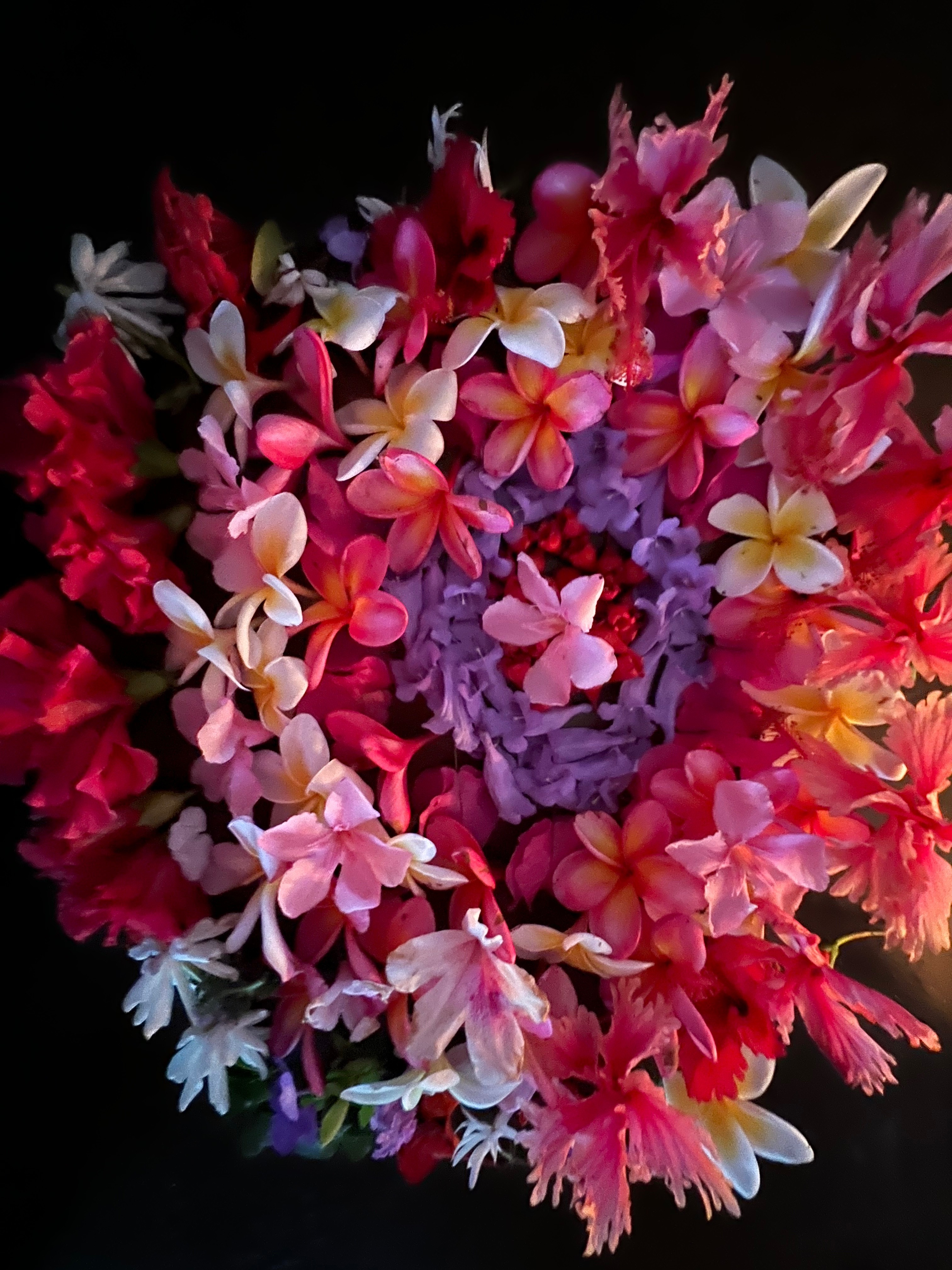 Divine OnlyFans header