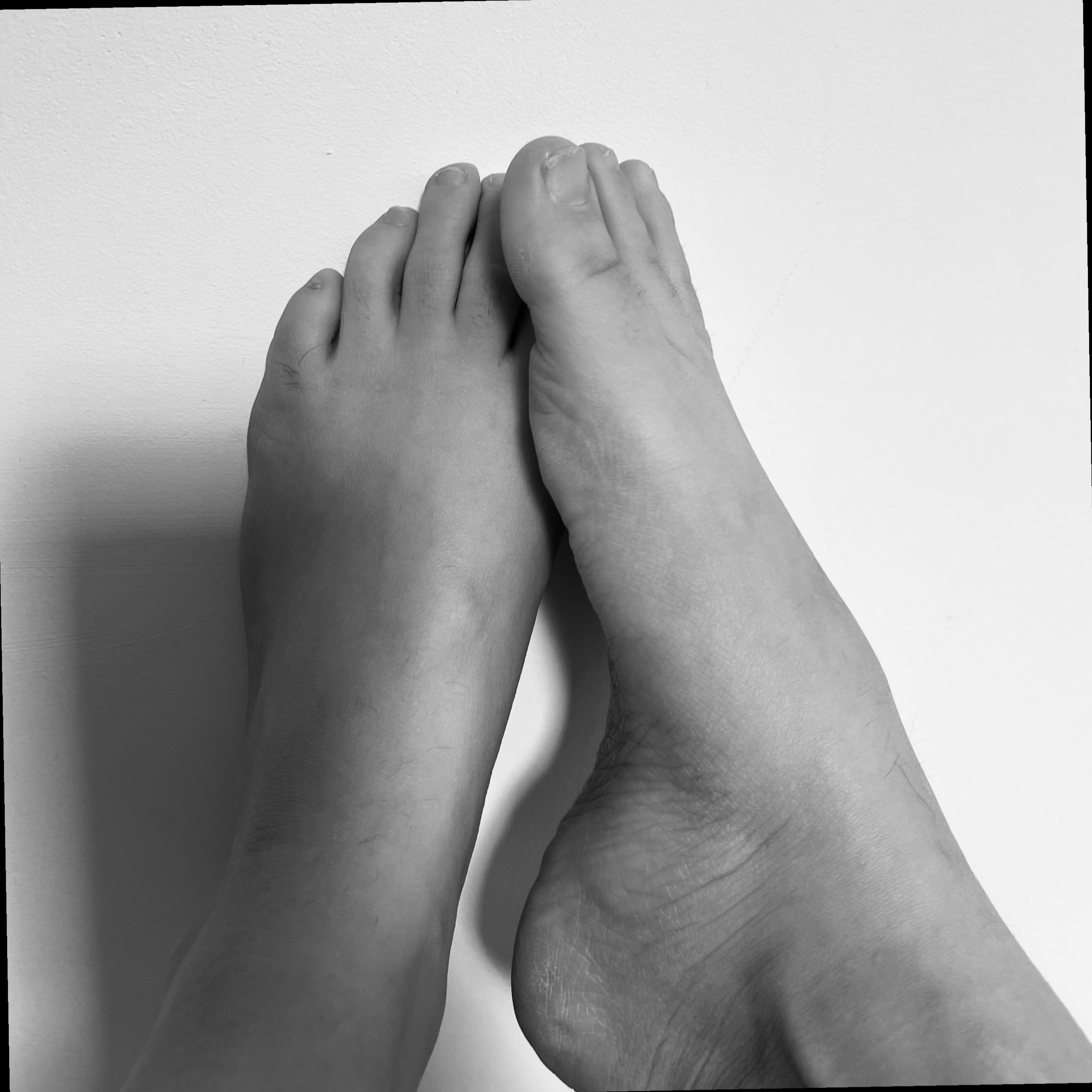 💫 OnlyFans header