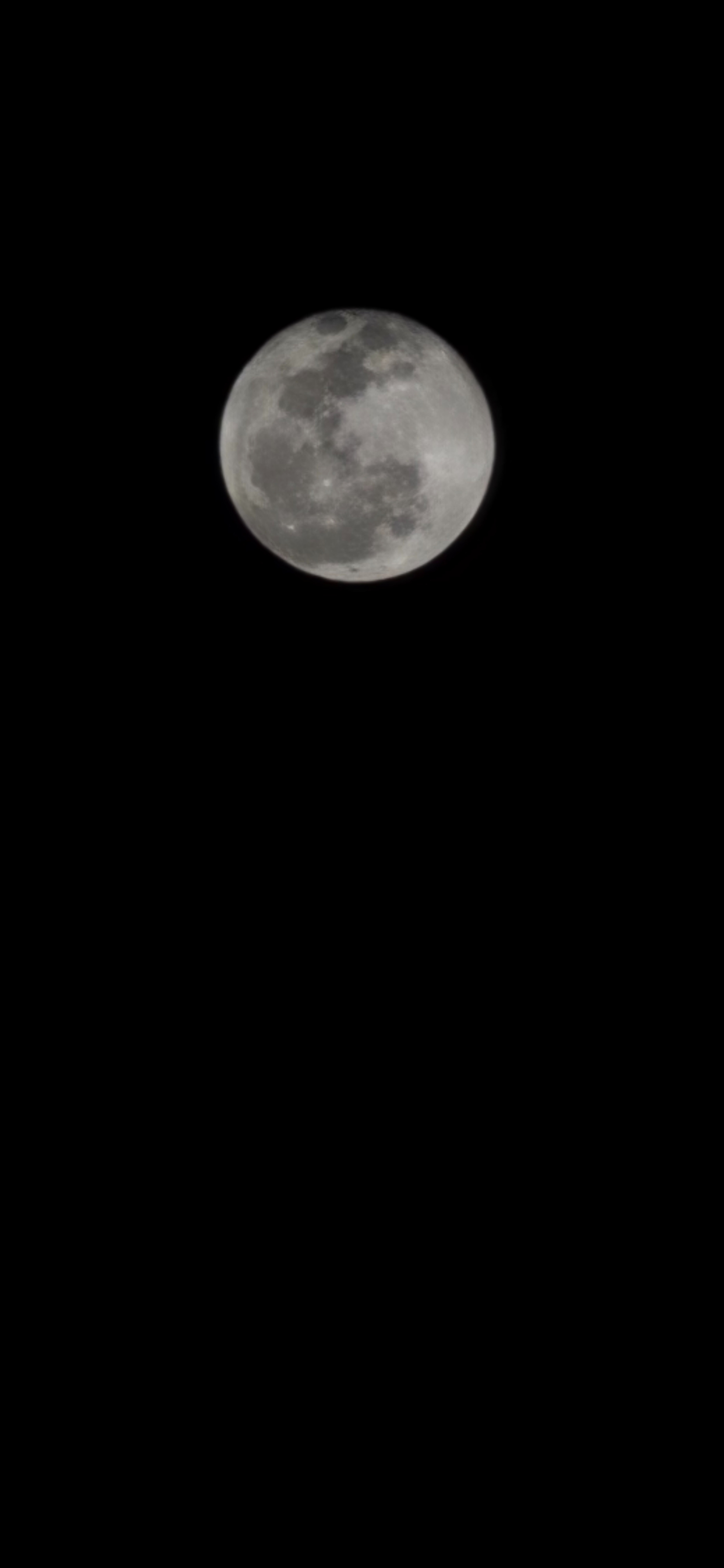 Femme OnlyFans header