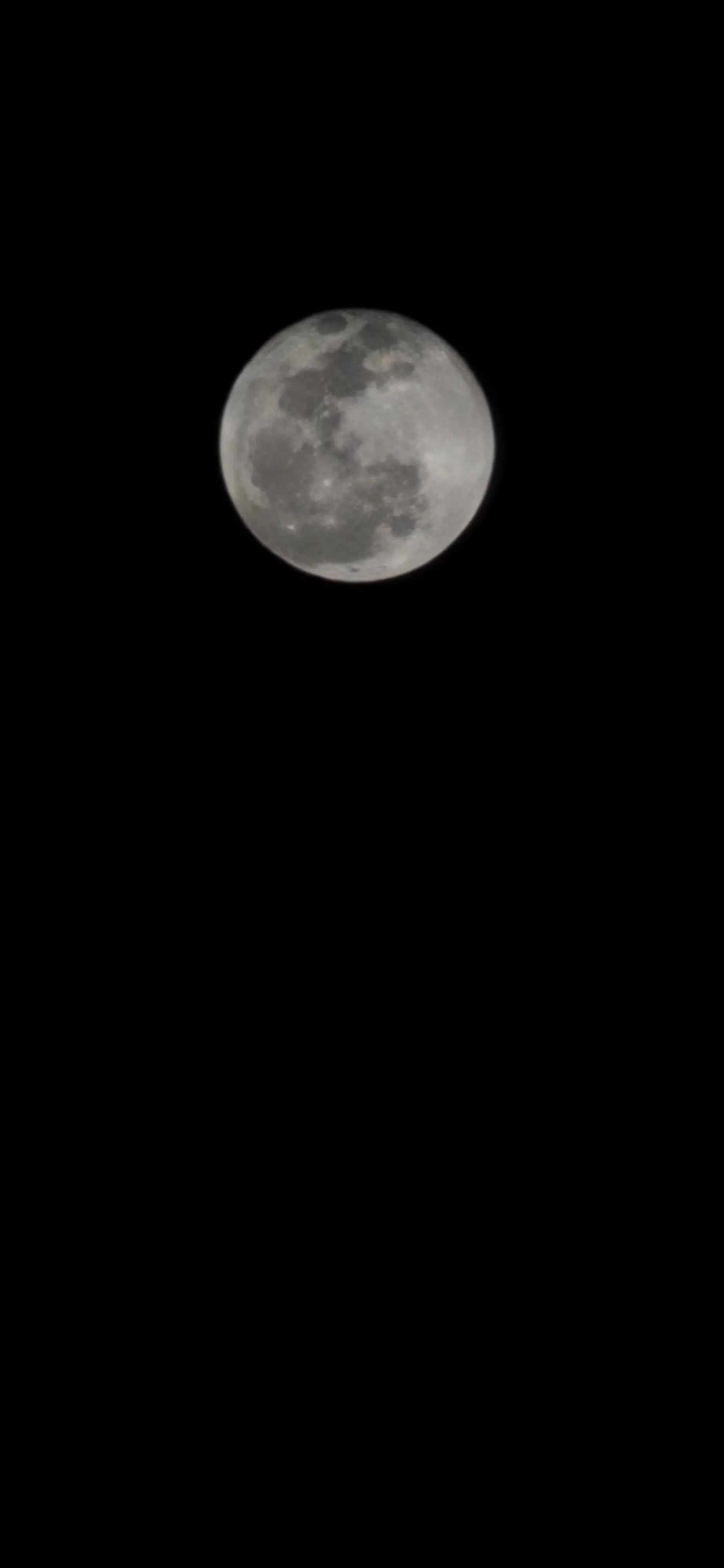 Femme OnlyFans header