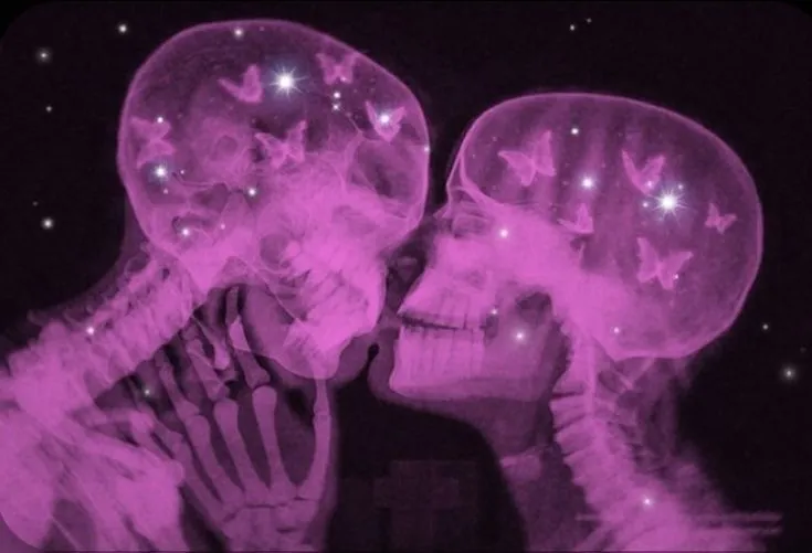 Lunar Luna OnlyFans header