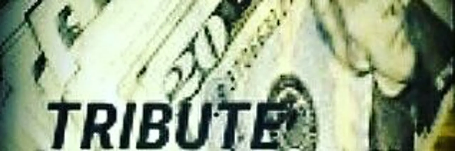 Anitta OnlyFans header