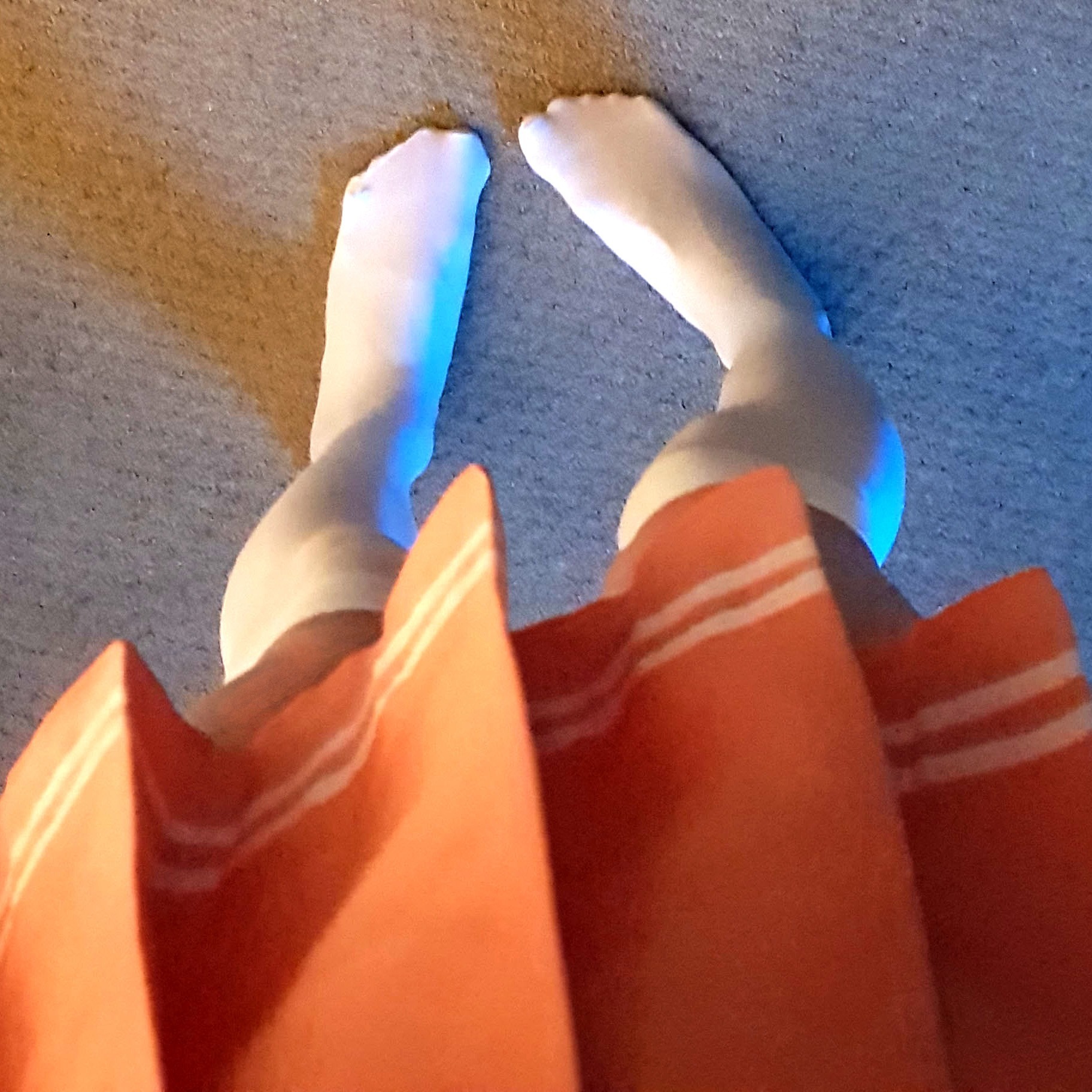 Femme Fit Fridays OnlyFans