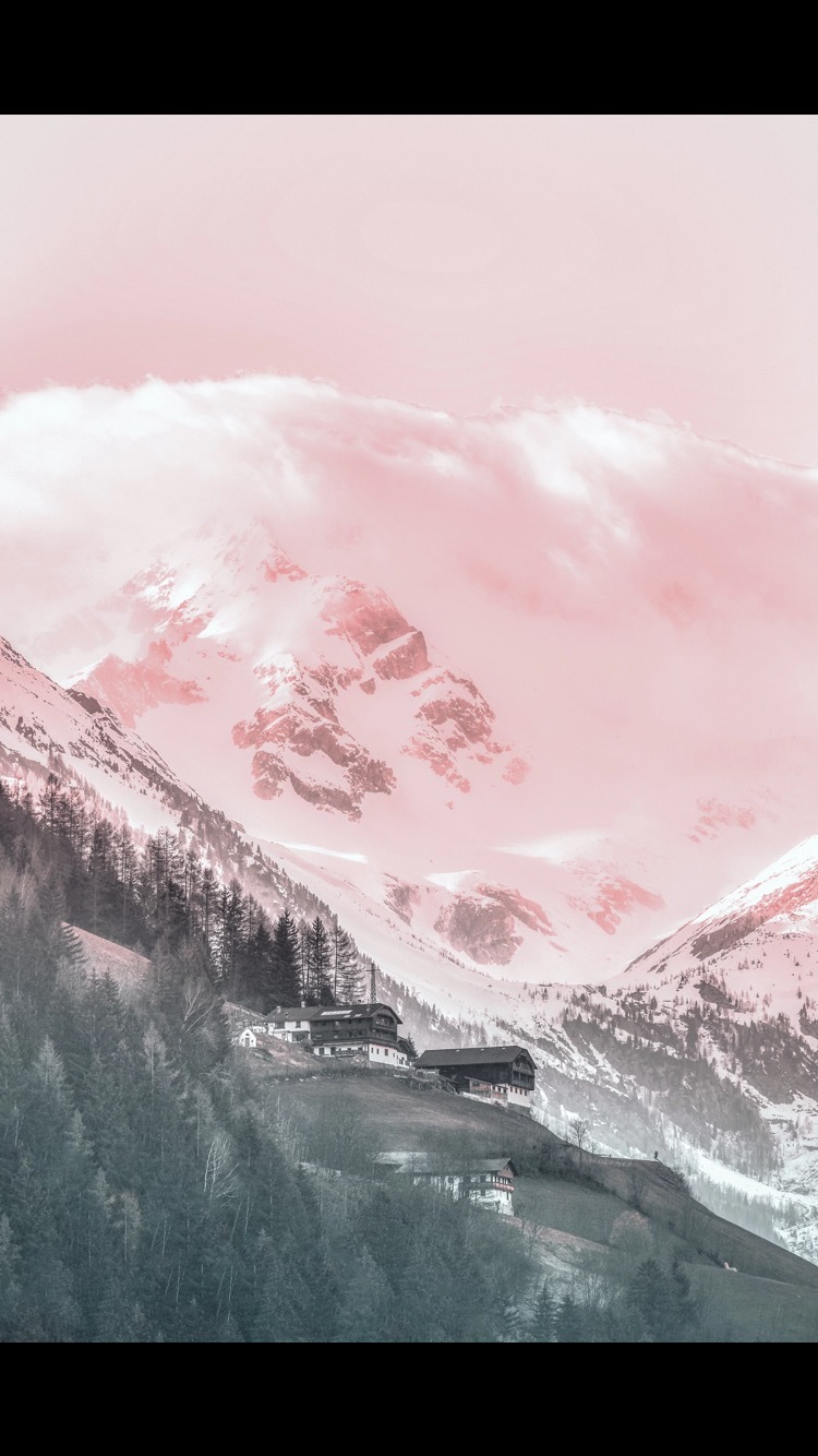 Femtoy 🐾 OnlyFans header