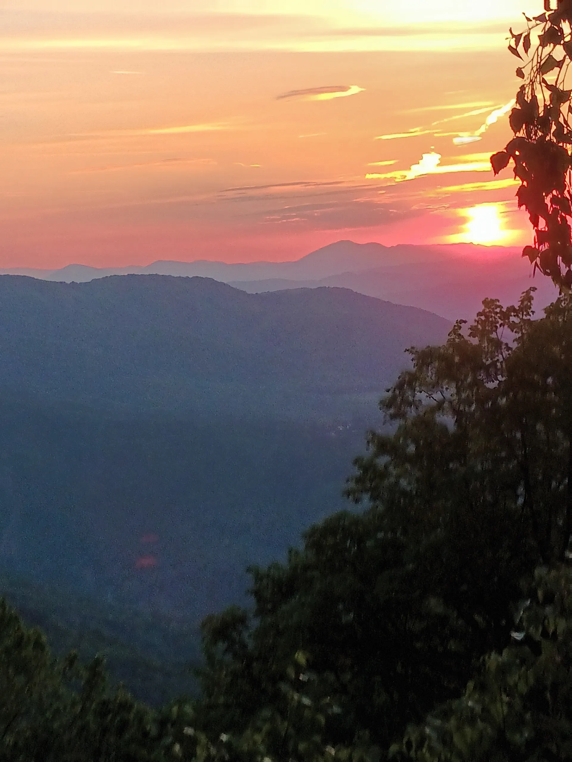 Живомир OnlyFans header