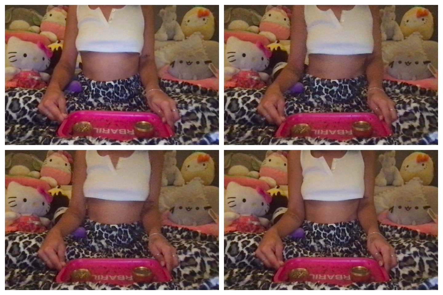 Fence Funhouse OnlyFans header