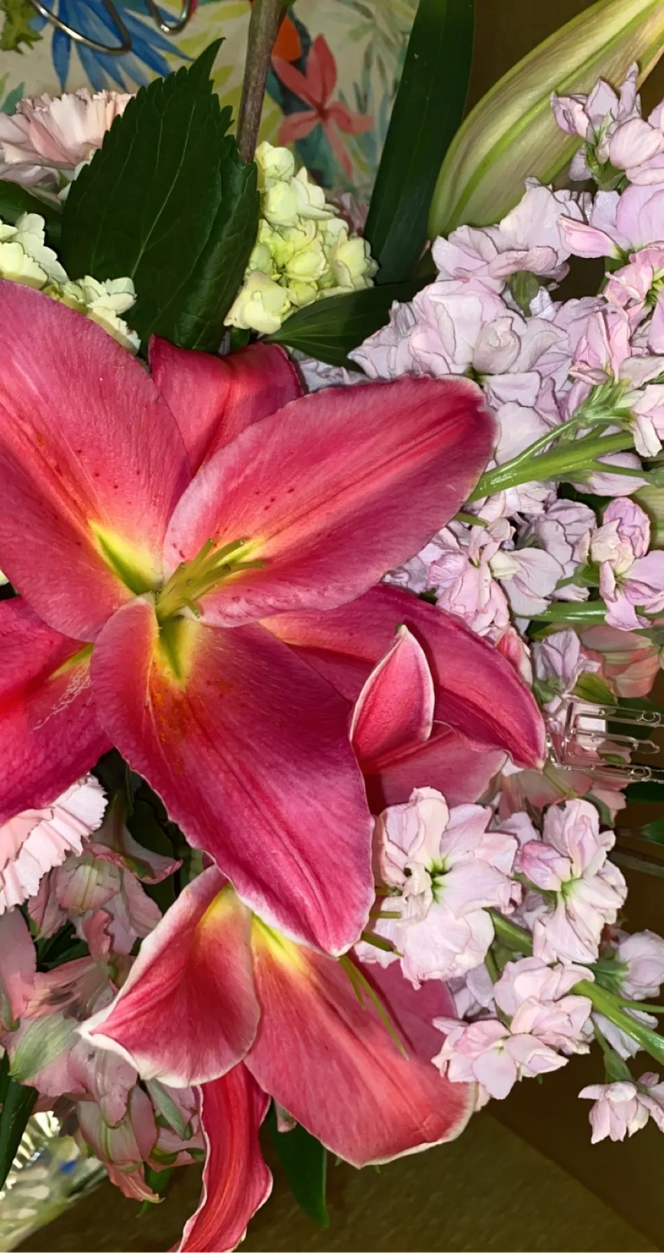 Fénix Uncensored OnlyFans header