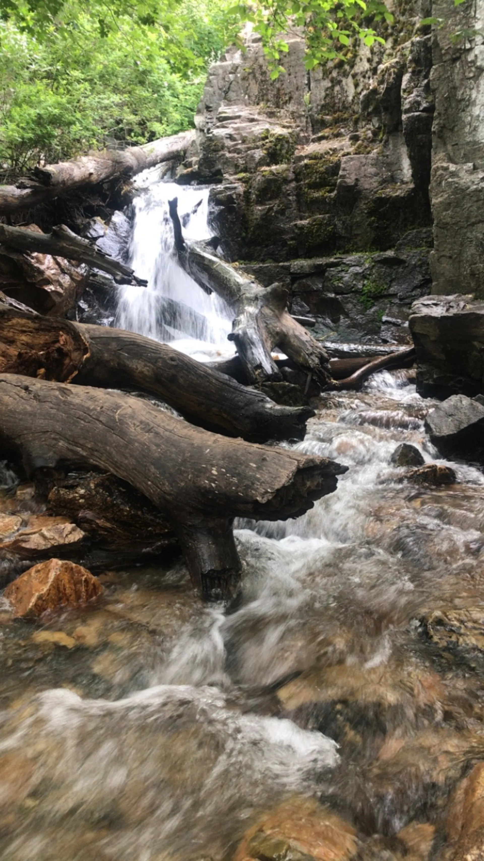 Fenix Geminii OnlyFans header