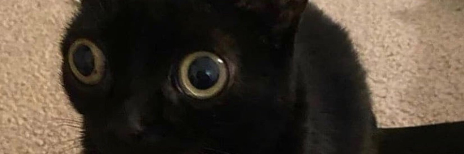 Ethan OnlyFans header