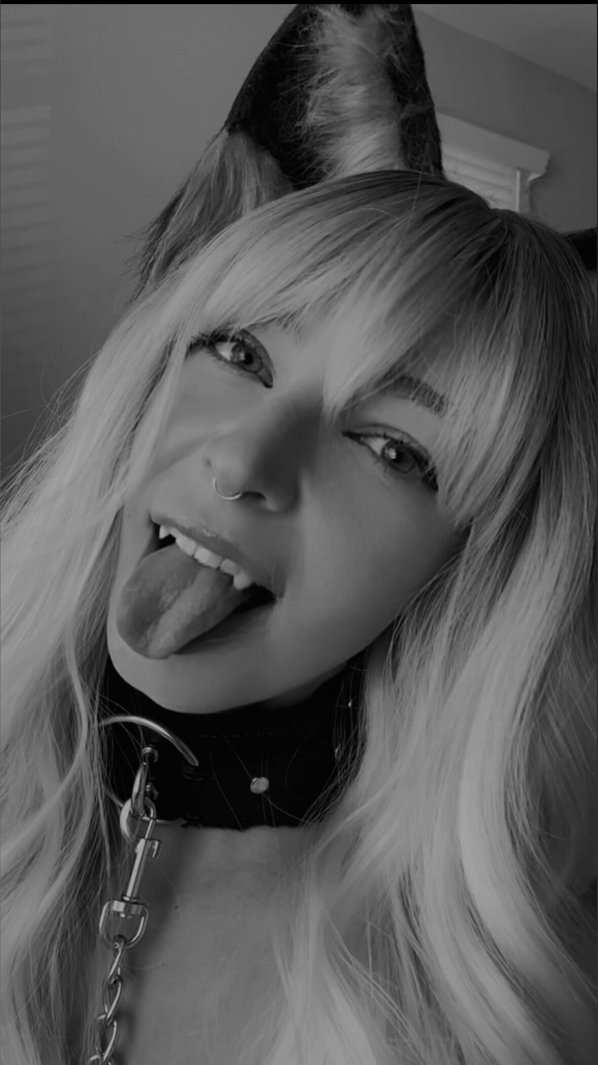 fenrissy OnlyFans header