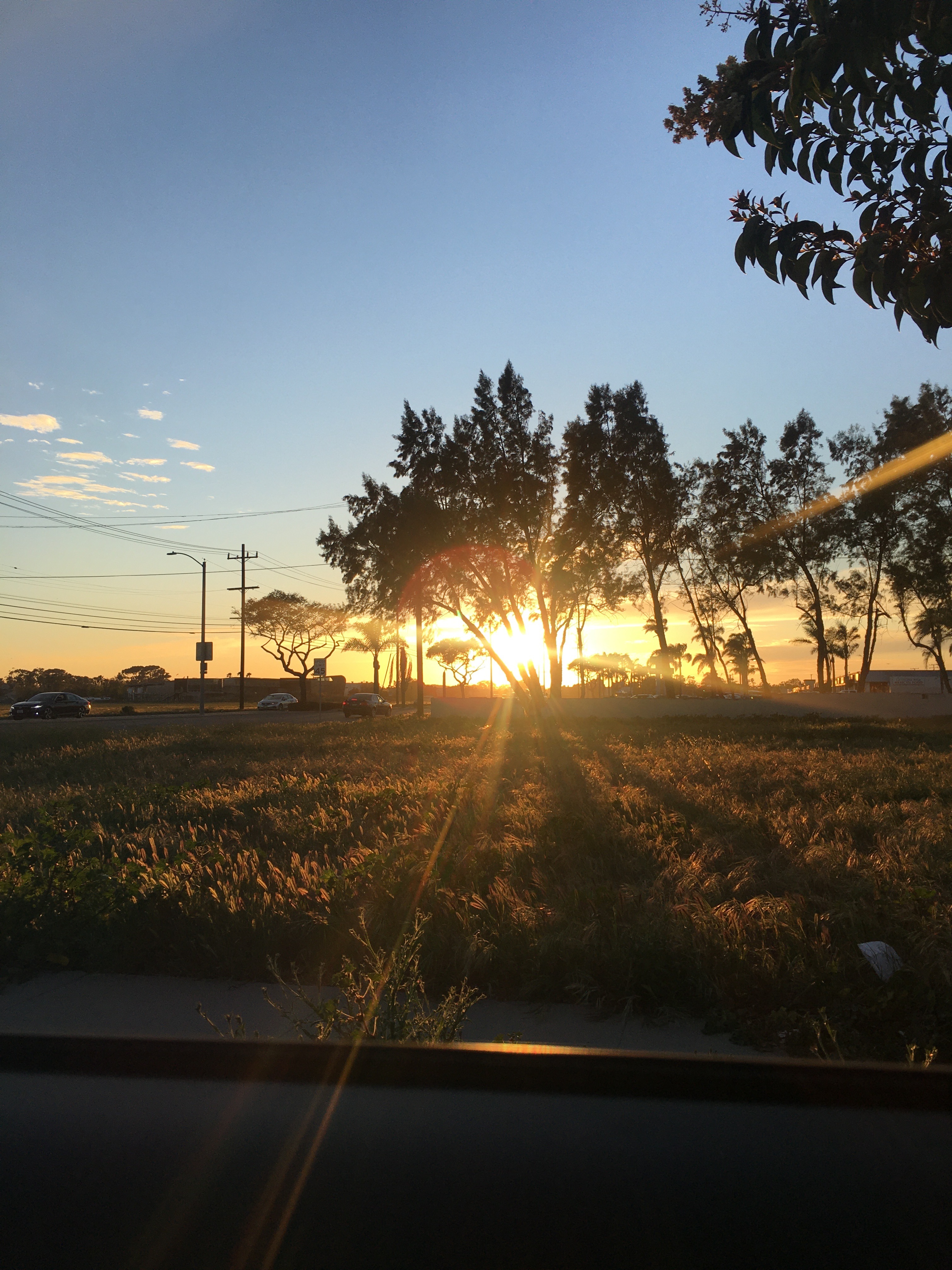 Feo Escobar OnlyFans header