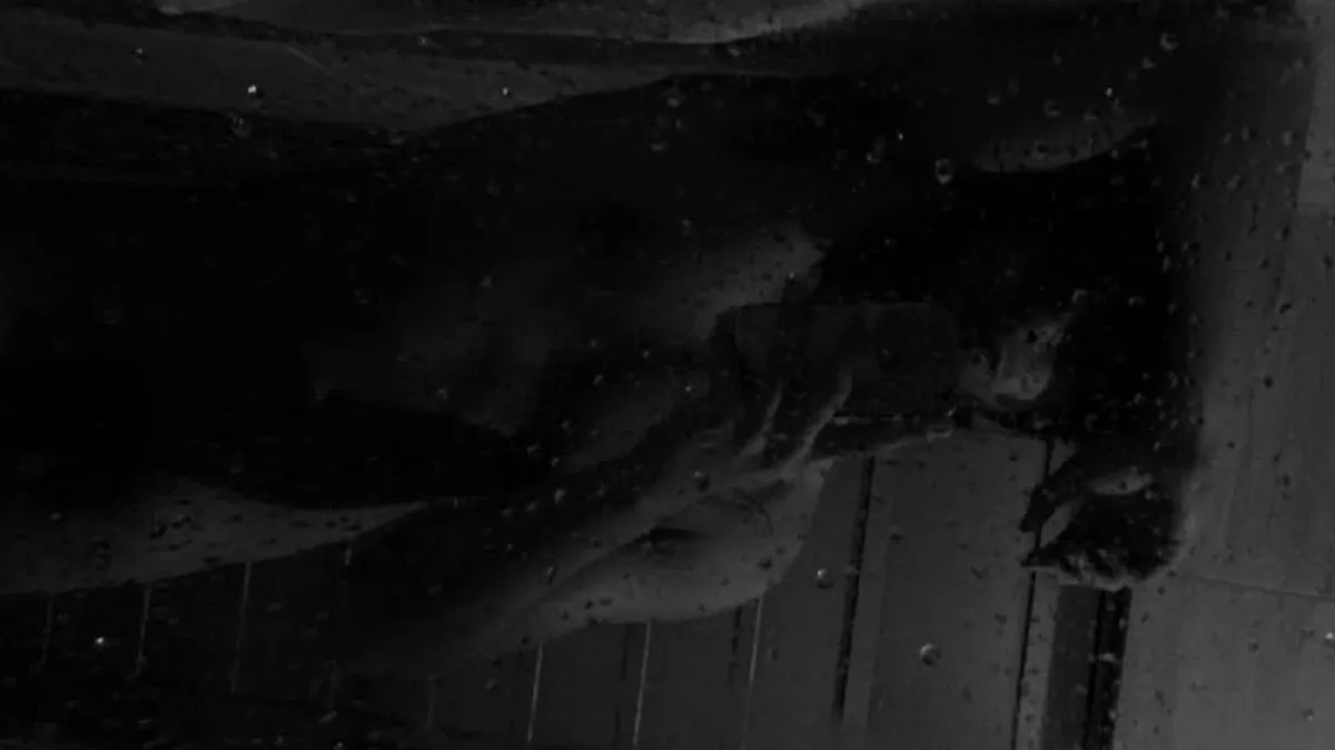 Fernando™ OnlyFans header