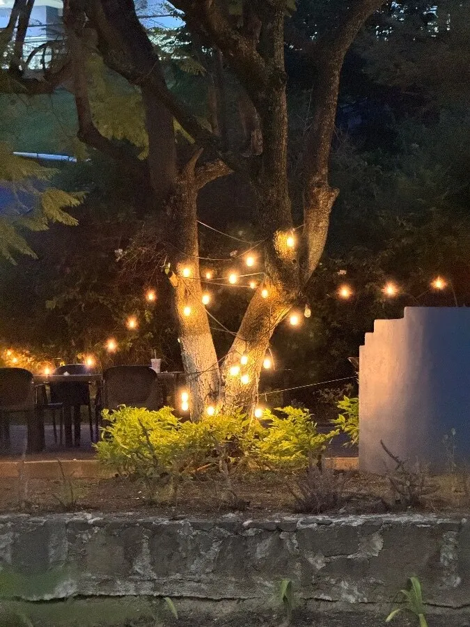 Fer Ortizlo OnlyFans header