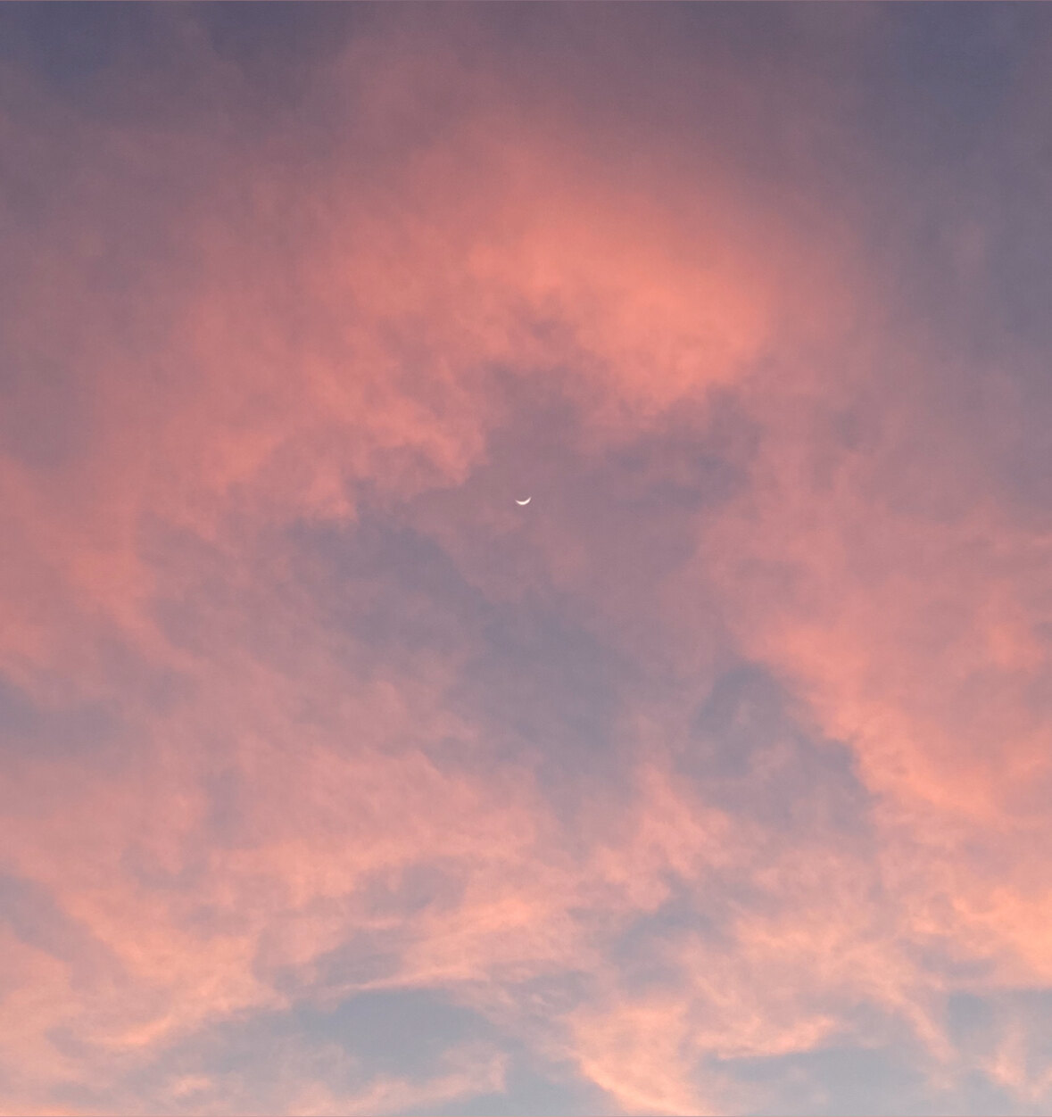 ❁ josie ❁ OnlyFans header