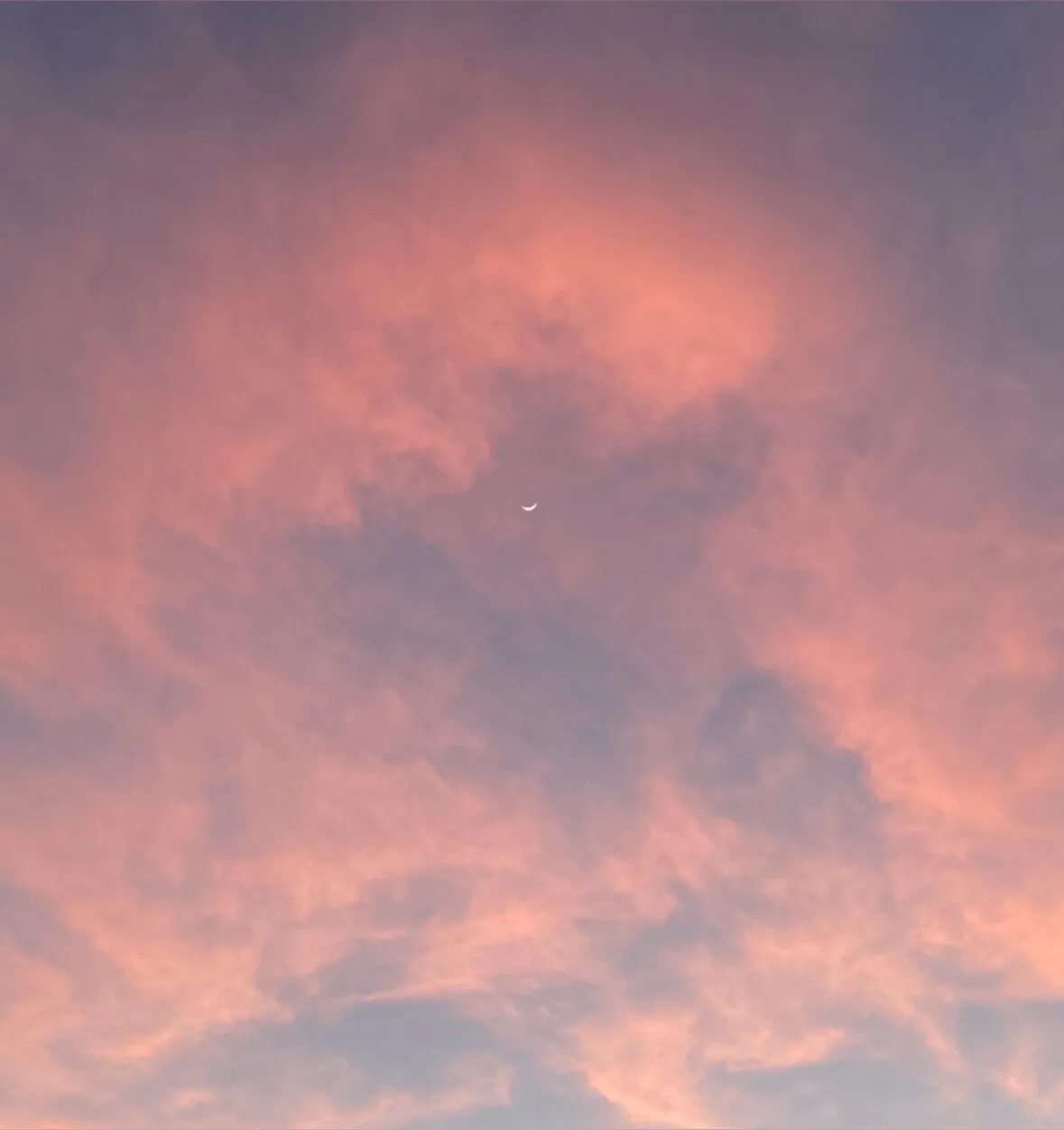 ❁ josie ❁ OnlyFans header