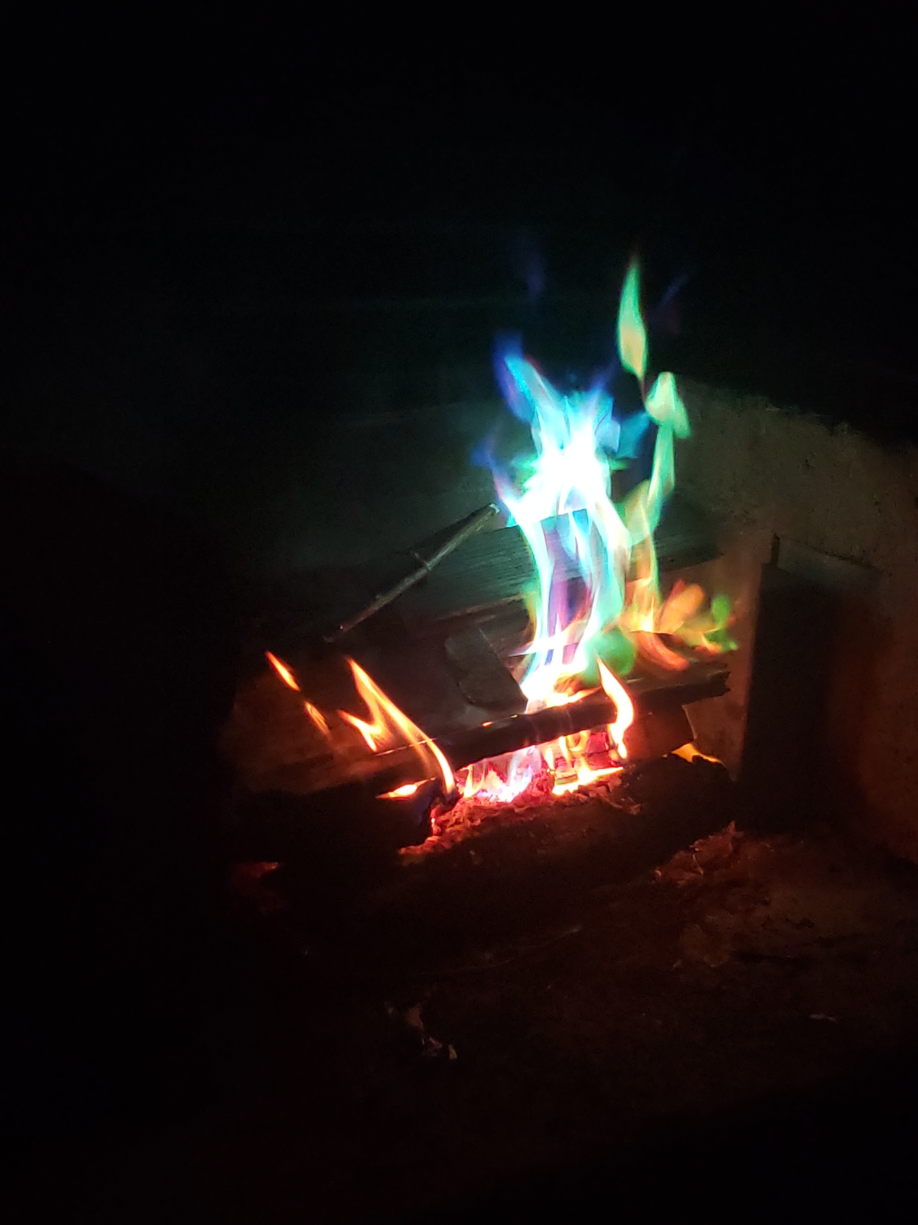 Feral OnlyFans header