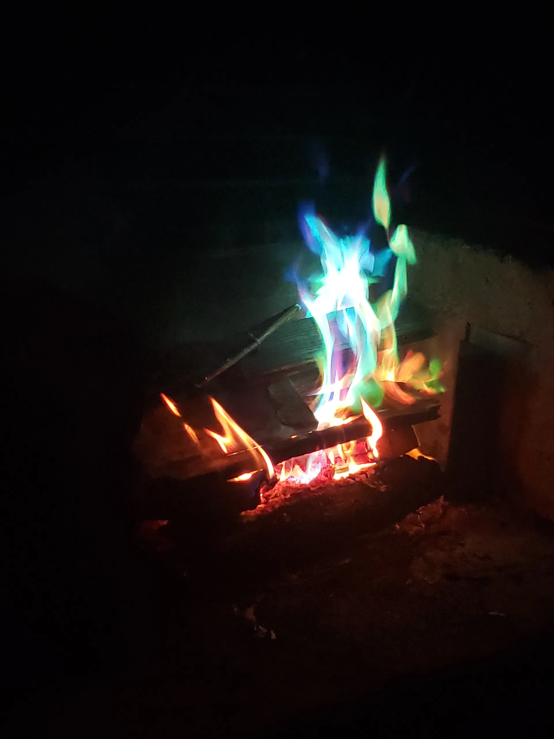 Feral OnlyFans header