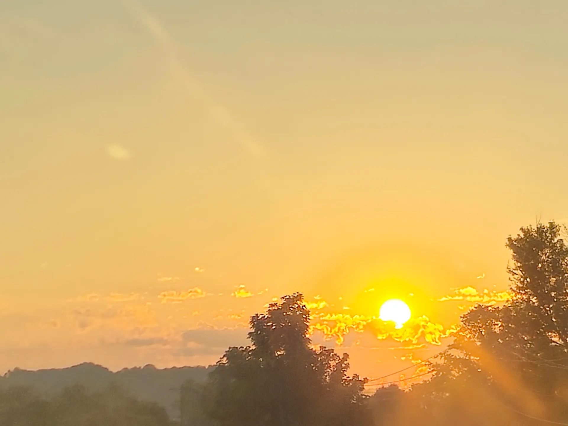 Feral OnlyFans header