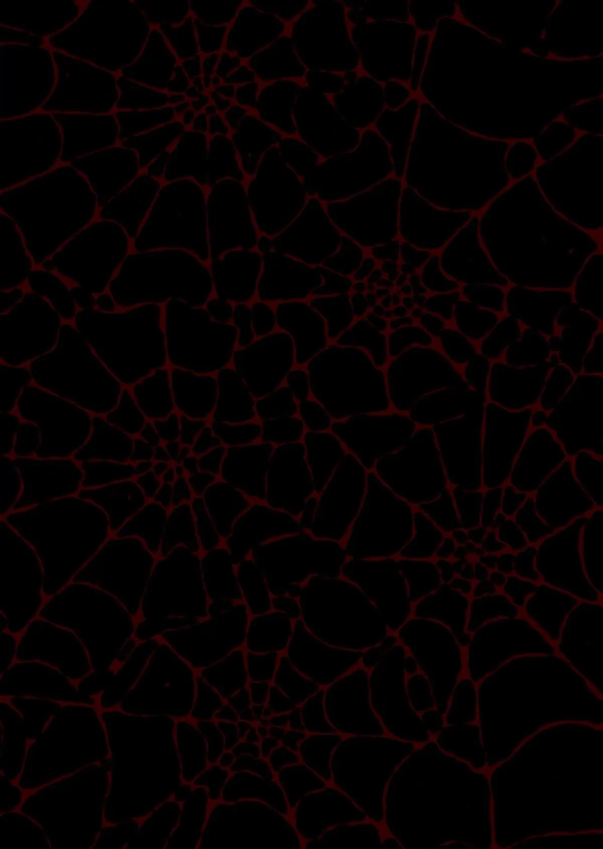 playboy vampire OnlyFans header