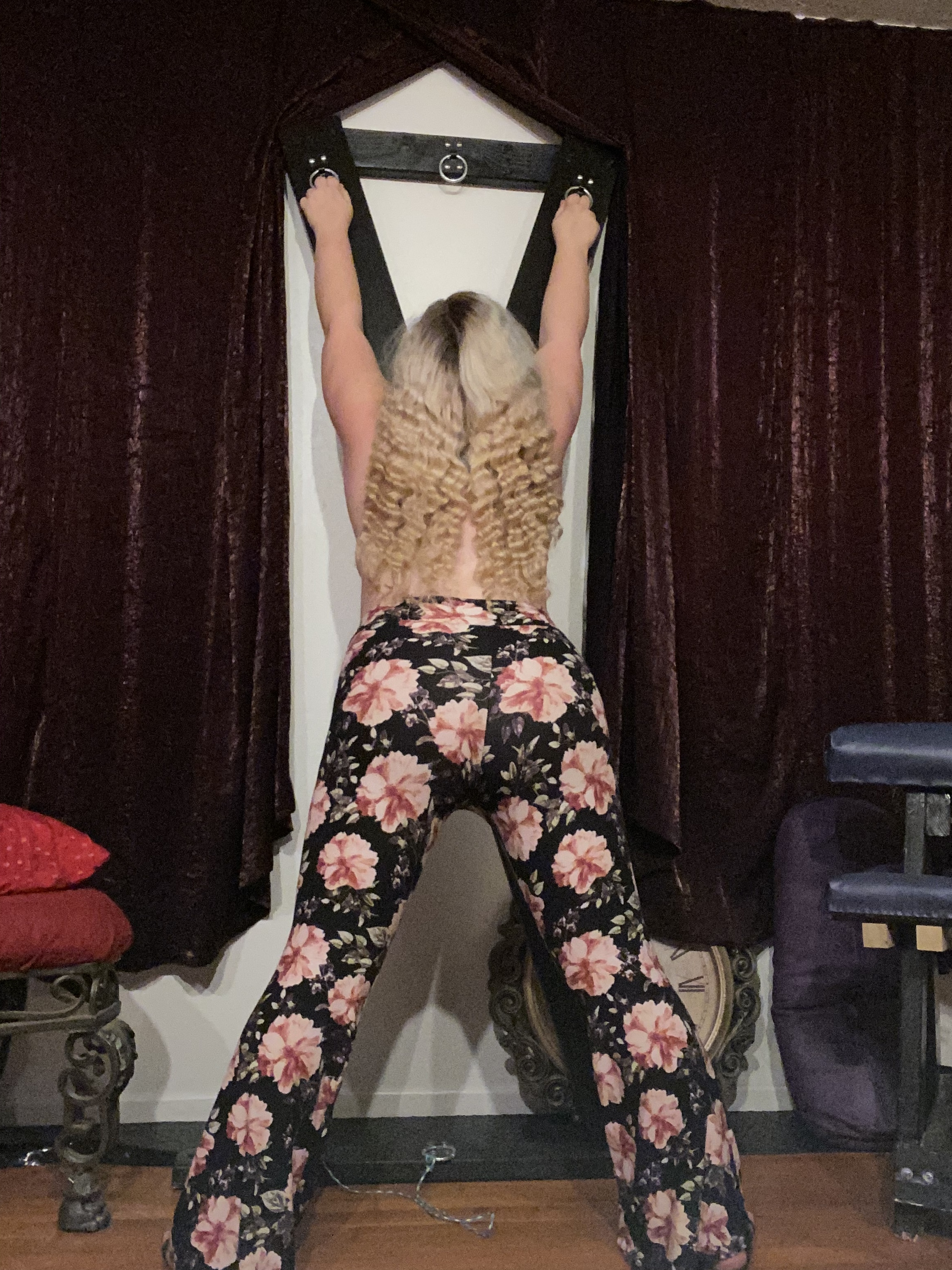 FeralStar OnlyFans header