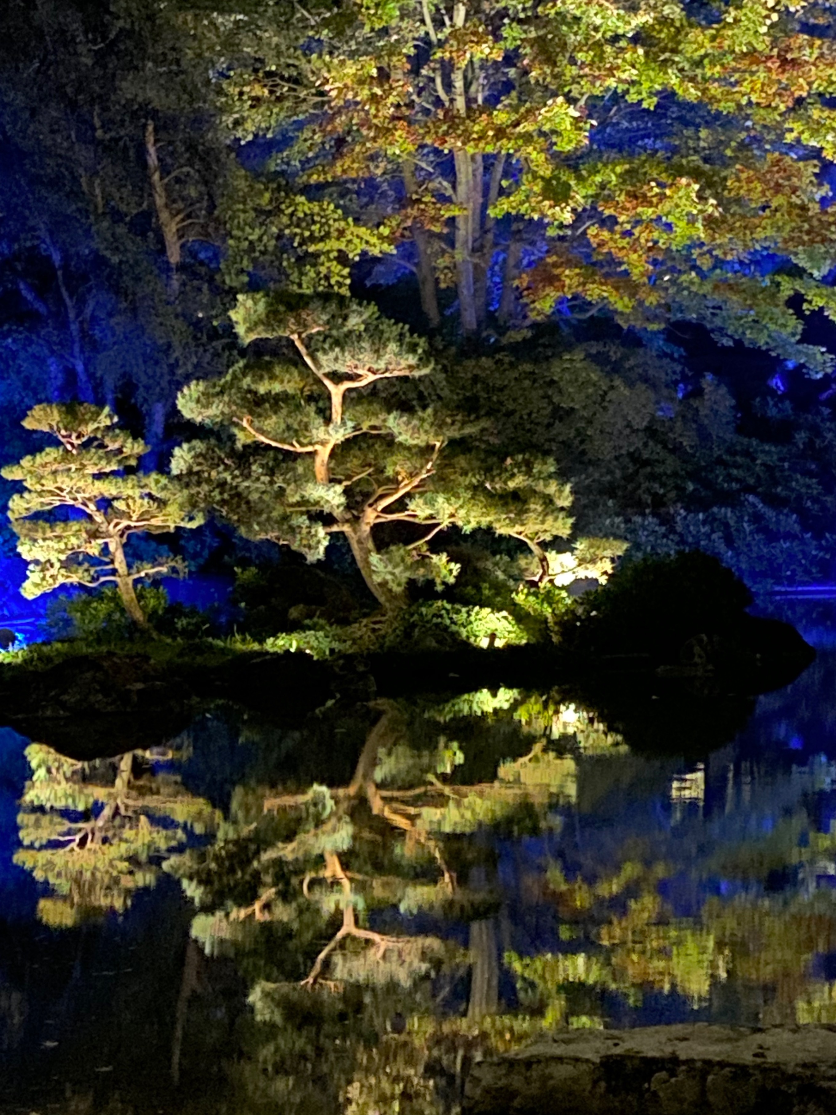 FeralWolf OnlyFans header