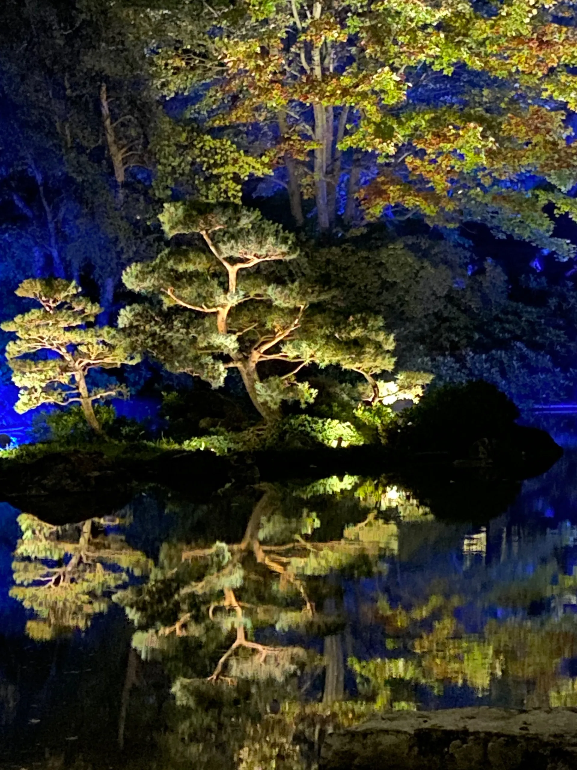 FeralWolf OnlyFans header