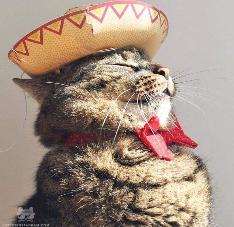 FERCH RANGE OnlyFans header