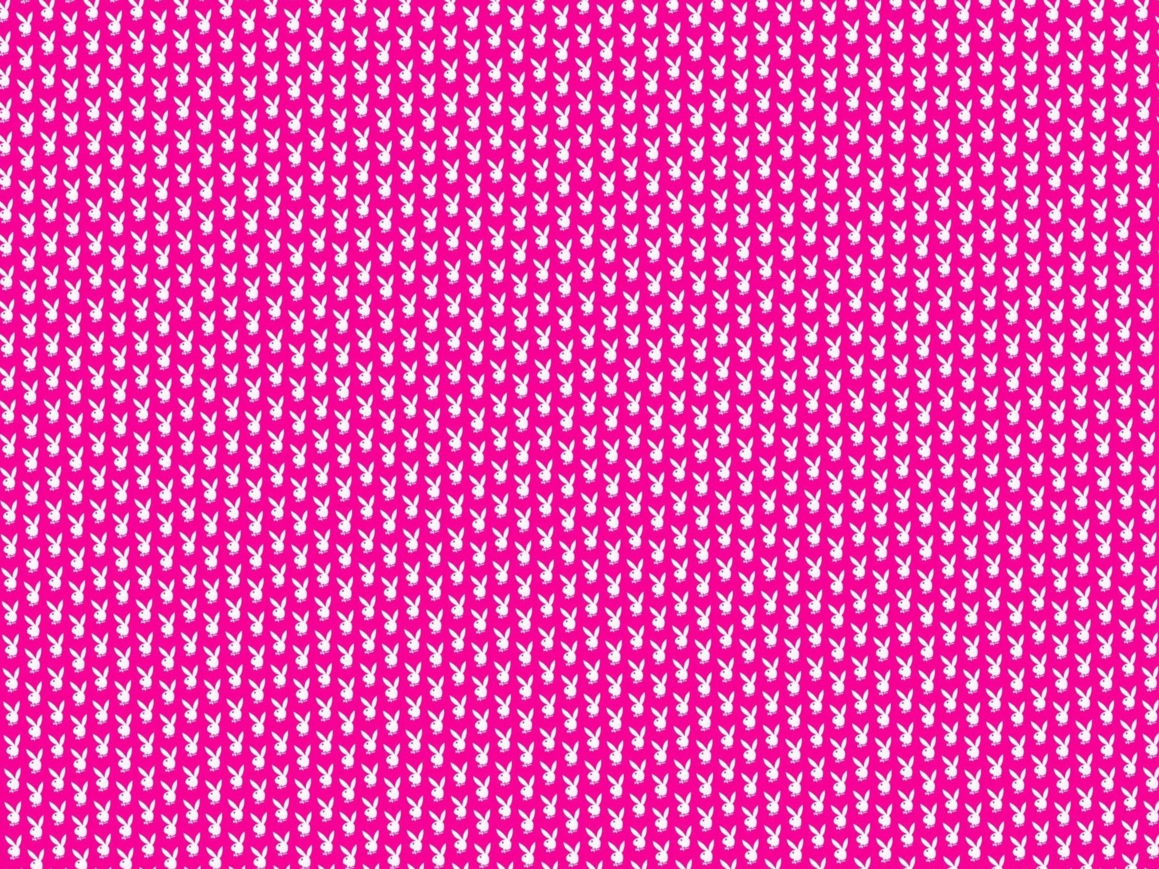 Fergielyne OnlyFans header