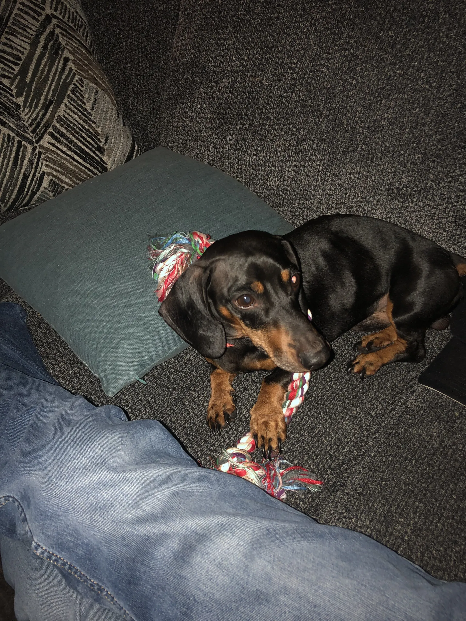 Daniel Gardner Jr. OnlyFans header